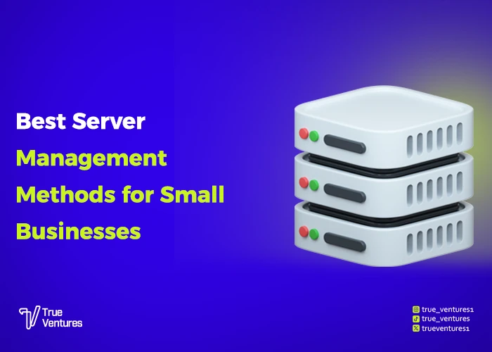 إدارة السيرفرات للشركات الصغيرة
