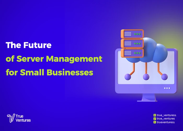إدارة السيرفرات للشركات الصغيرة